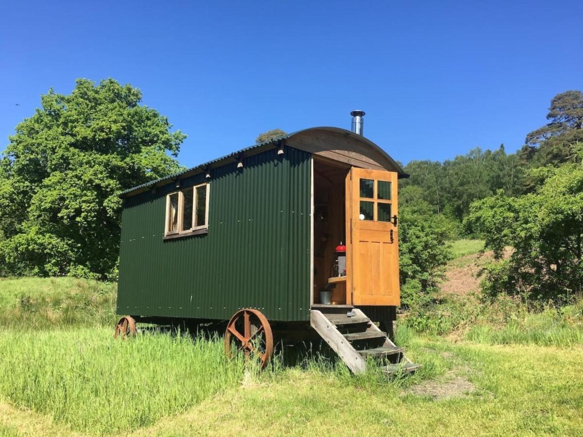 カッスル・ダグラス Cosy Woodland Off Grid Shepherds Hut - Rowanヴィラ エクステリア 写真