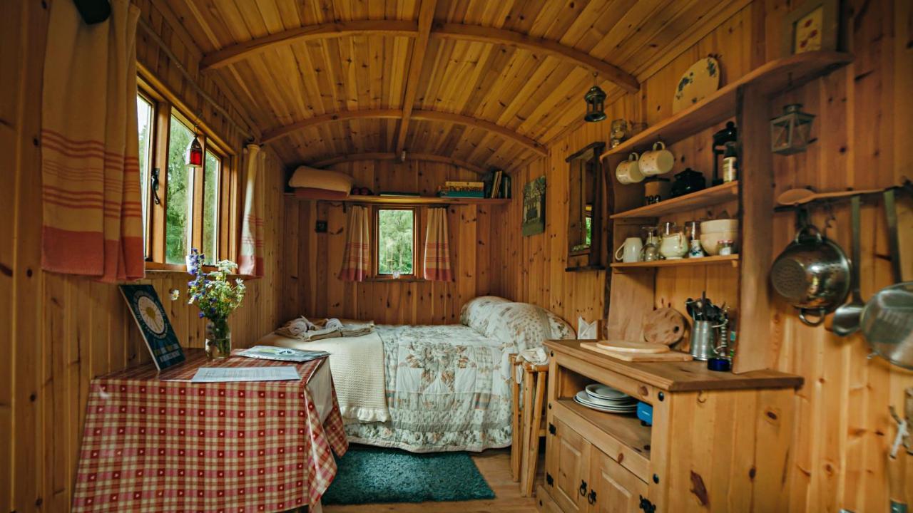 カッスル・ダグラス Cosy Woodland Off Grid Shepherds Hut - Rowanヴィラ エクステリア 写真