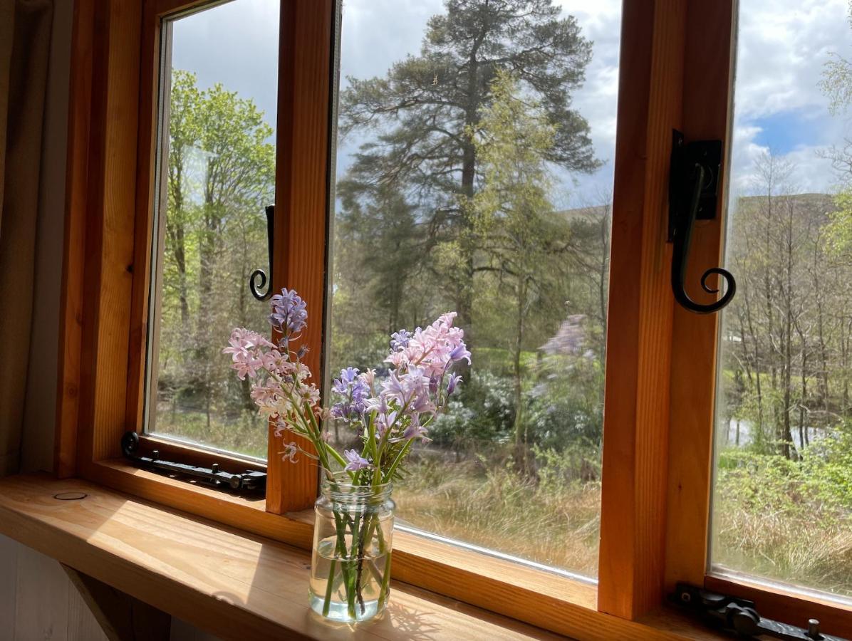 カッスル・ダグラス Cosy Woodland Off Grid Shepherds Hut - Rowanヴィラ エクステリア 写真