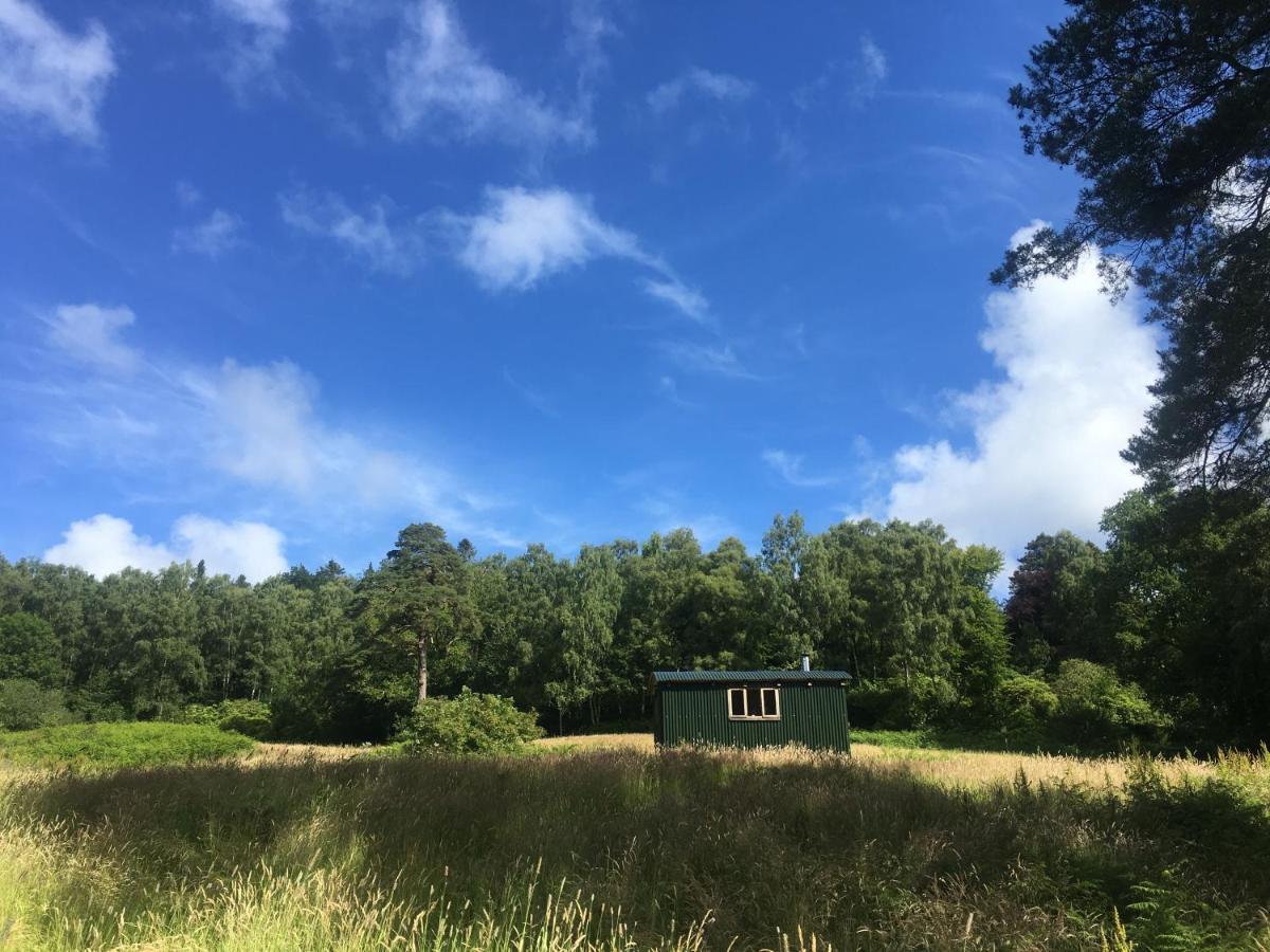 カッスル・ダグラス Cosy Woodland Off Grid Shepherds Hut - Rowanヴィラ エクステリア 写真