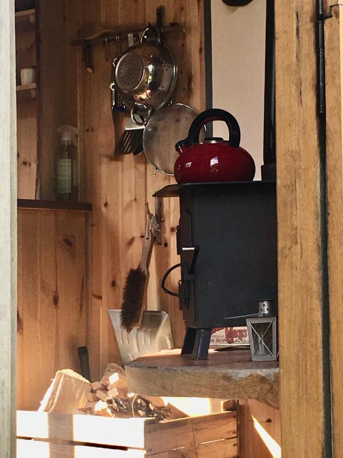 カッスル・ダグラス Cosy Woodland Off Grid Shepherds Hut - Rowanヴィラ エクステリア 写真